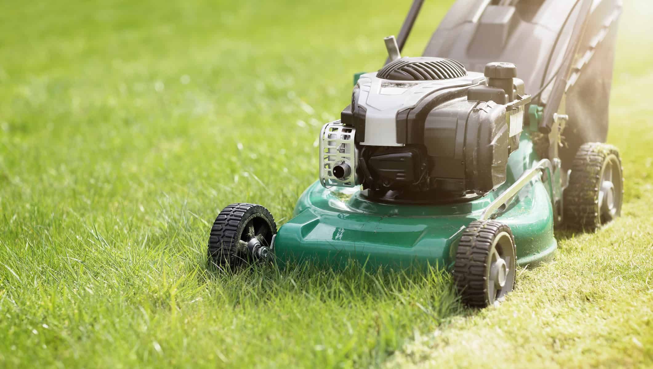 Gressklipper klipper plen i sollys, med grønt gress og nyslått stripe i forgrunnen.